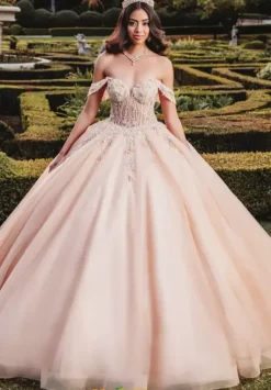 Q1003^Amabella Online