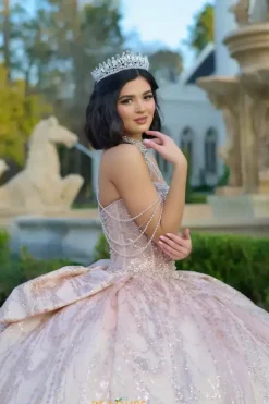 Q1067^Amabella Clearance