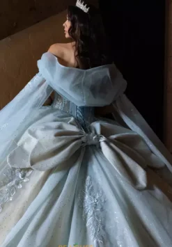 Hood/Streamers Only. Dress Not Included.^Rachel Allan Quince Online