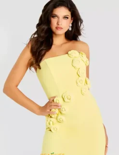 46884^Jovani Clearance