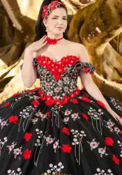 26099^LizLuo Quinceanera Best