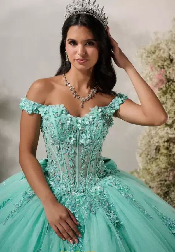 56548^LizLuo Quinceanera
