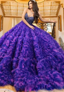 80023^LizLuo Quinceanera New