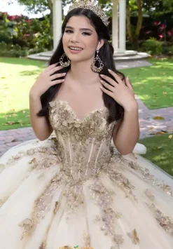 56525^LizLuo Quinceanera Best