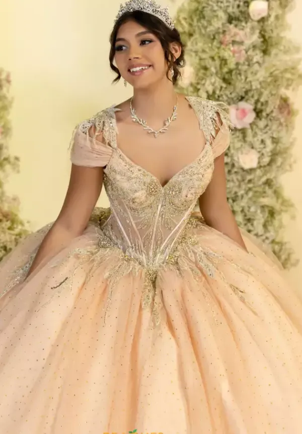 56555^LizLuo Quinceanera