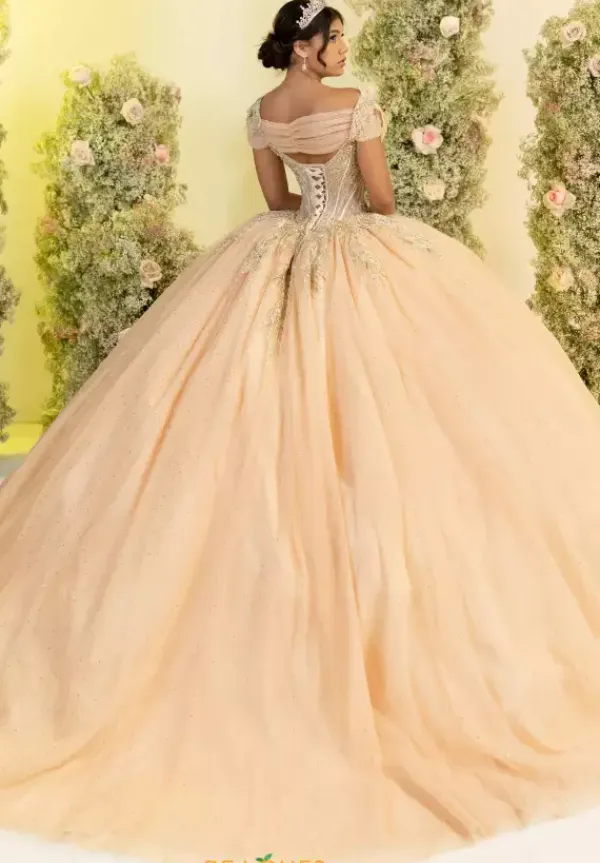56555^LizLuo Quinceanera