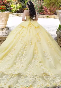26100^LizLuo Quinceanera Best