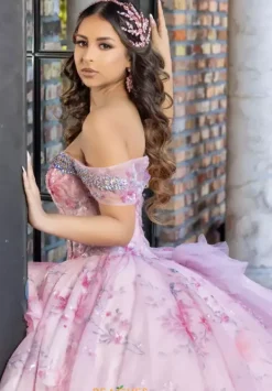 80024^LizLuo Quinceanera Discount