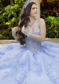 56530^LizLuo Quinceanera New