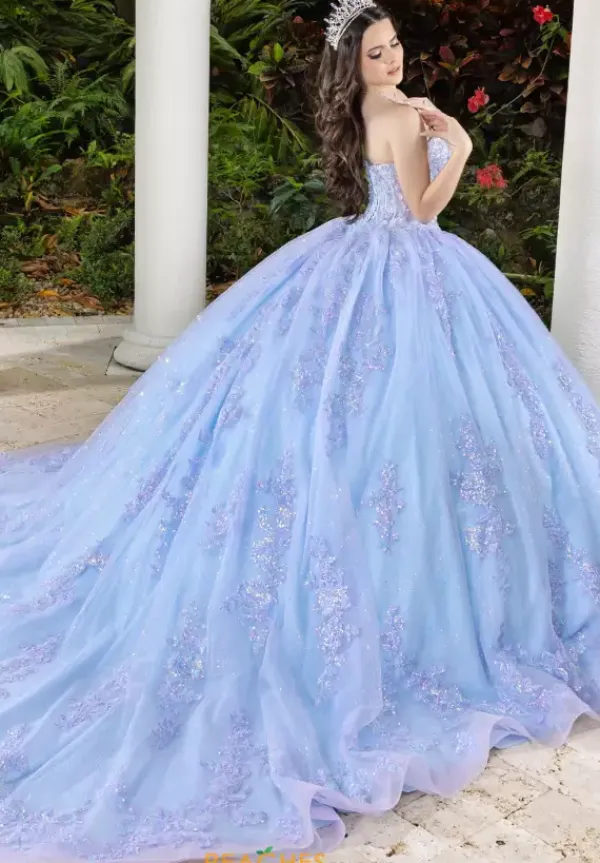 56530^LizLuo Quinceanera New