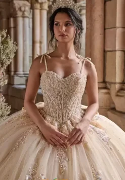 56546^LizLuo Quinceanera