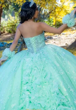 26094^LizLuo Quinceanera Hot