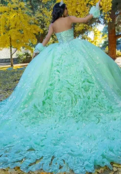 26094^LizLuo Quinceanera Hot