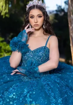 26094^LizLuo Quinceanera Hot