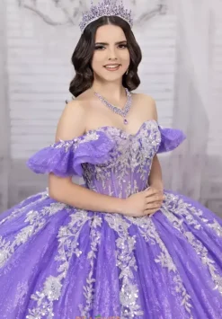 56534^LizLuo Quinceanera New