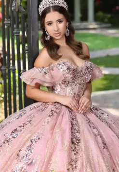 56534^LizLuo Quinceanera New