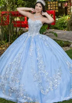 56534^LizLuo Quinceanera New
