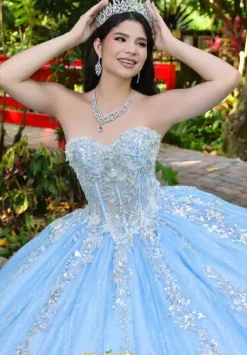 56534^LizLuo Quinceanera New