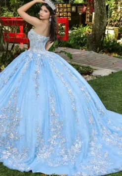 56534^LizLuo Quinceanera New
