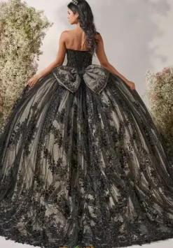 56551^LizLuo Quinceanera Discount