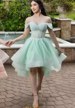 26103^LizLuo Quinceanera