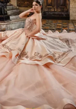 80036^LizLuo Quinceanera New