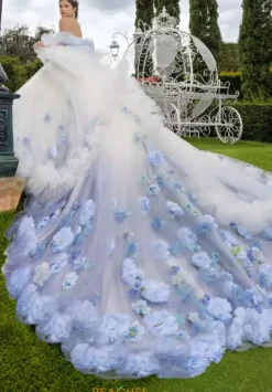 80025^LizLuo Quinceanera New