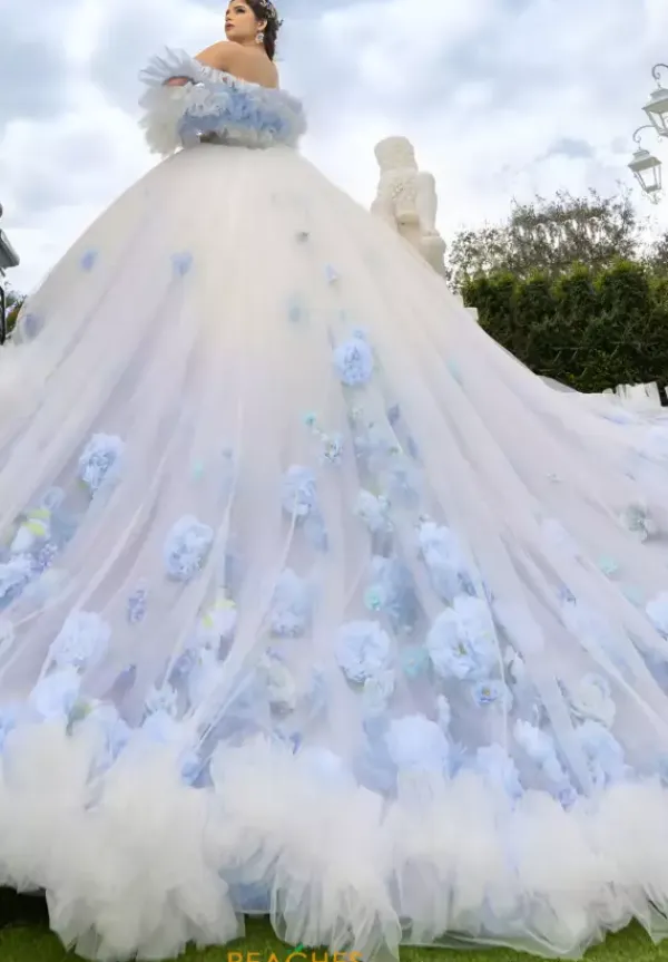 80025^LizLuo Quinceanera New