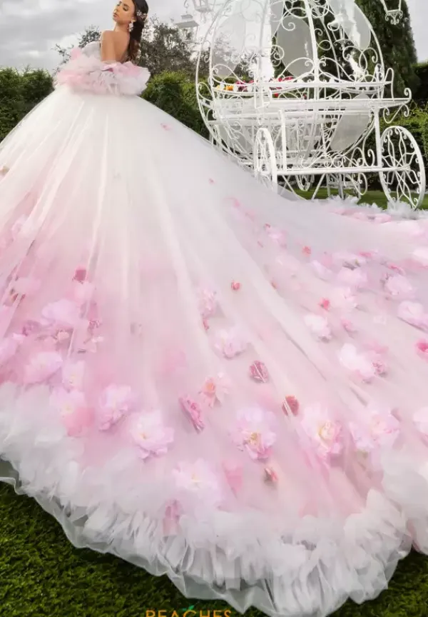 80025^LizLuo Quinceanera New