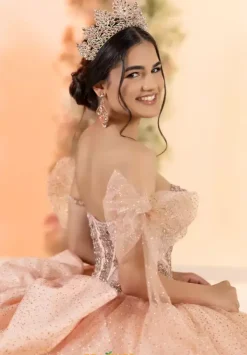 56561^LizLuo Quinceanera Hot