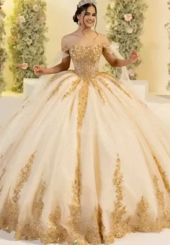 56560^LizLuo Quinceanera