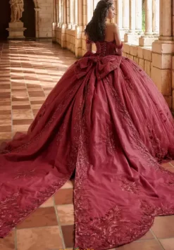 80051^LizLuo Quinceanera