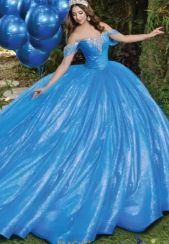 56537^LizLuo Quinceanera New