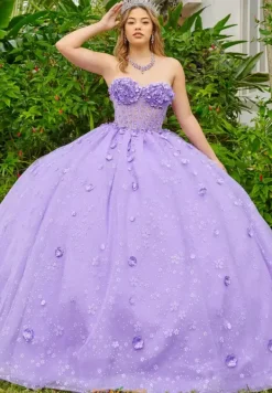 56512^LizLuo Quinceanera New