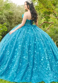 56512^LizLuo Quinceanera New