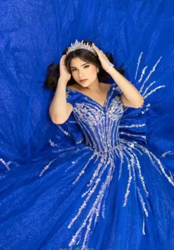 56535^LizLuo Quinceanera Discount