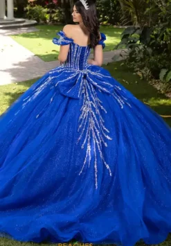 56535^LizLuo Quinceanera Discount