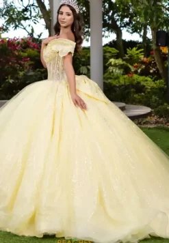 56535^LizLuo Quinceanera Discount