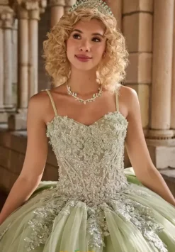 26125^LizLuo Quinceanera