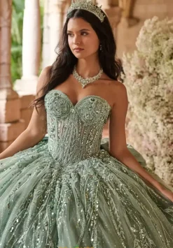 56550^LizLuo Quinceanera Clearance