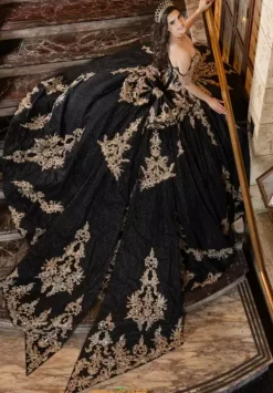 80041^LizLuo Quinceanera