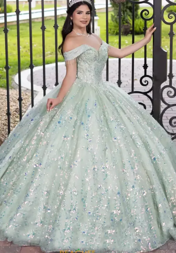 56536^LizLuo Quinceanera Best
