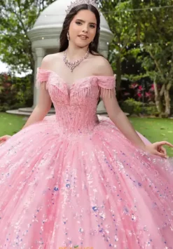 56536^LizLuo Quinceanera Best