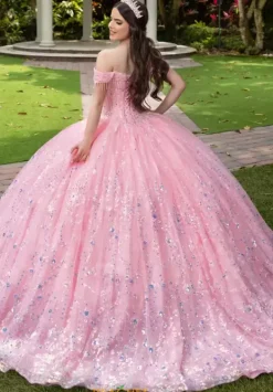 56536^LizLuo Quinceanera Best