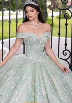 56536^LizLuo Quinceanera Best