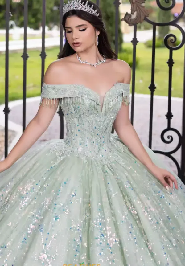 56536^LizLuo Quinceanera Best
