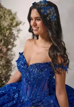 56542^LizLuo Quinceanera Best