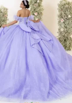 56558^LizLuo Quinceanera Hot
