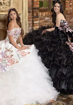 80031^LizLuo Quinceanera Clearance