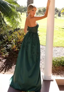 12213^Primavera Online